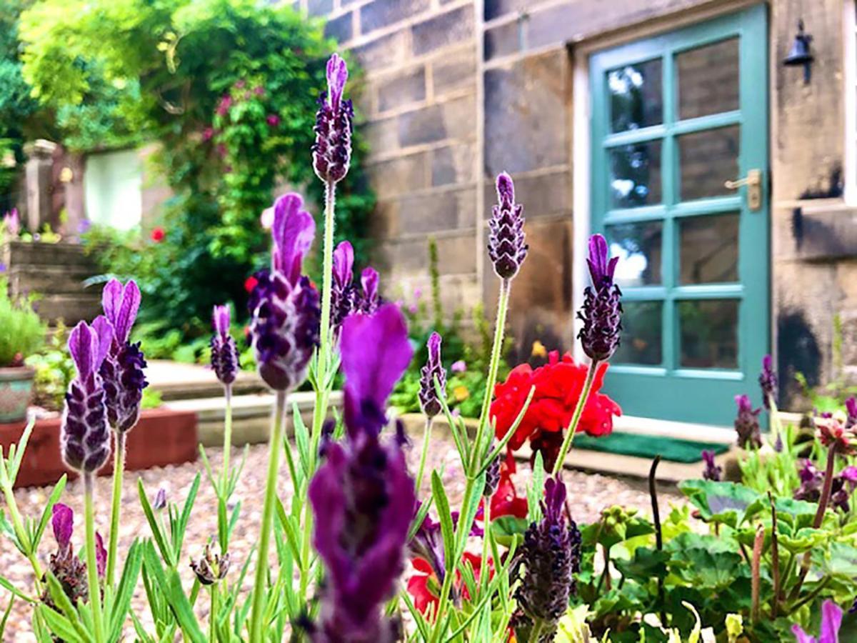 Ewood Cottage *New* Exquisite Country Cottage تودموردن المظهر الخارجي الصورة